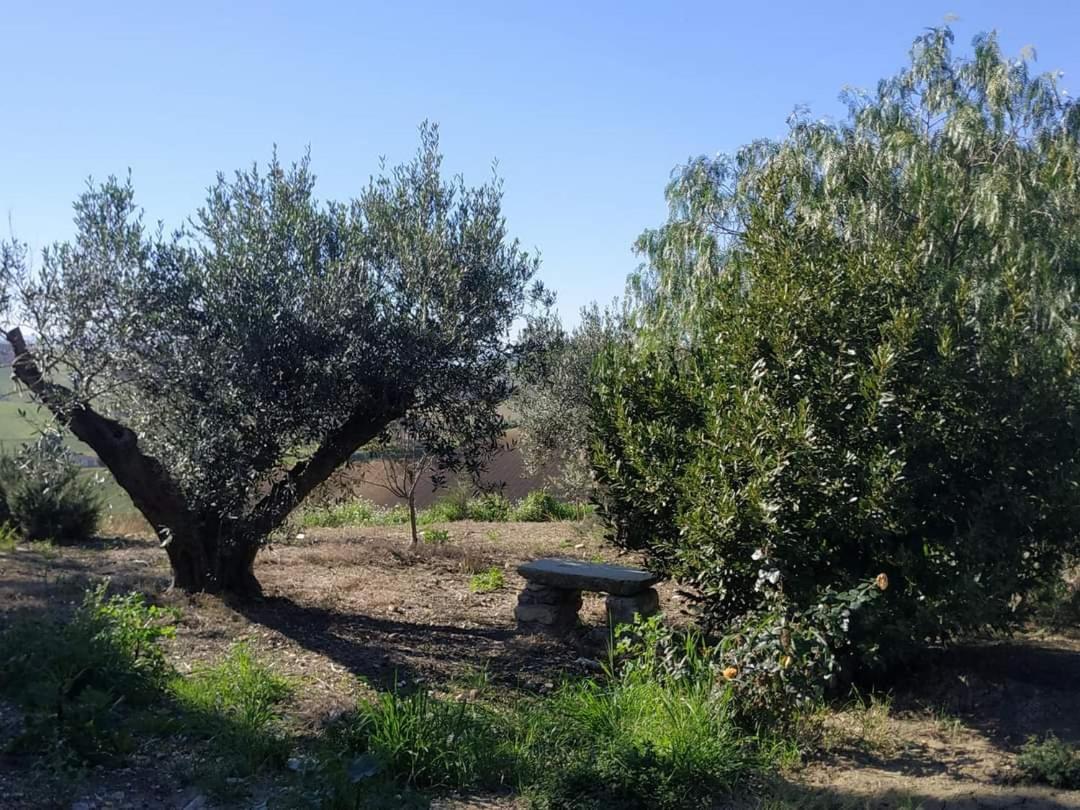 Masseria Baglio Perciata Camporeale Bagian luar foto